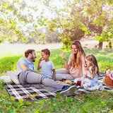 Tutumi Sivi karirani pokrivač za piknik | shoptok.hr