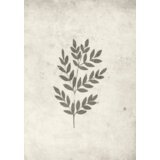 Venture Home poster Spring Leaf 70 × 100 cm, bež | shoptok.hr