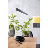 Fischer & Honsel Crna LED viseća svjetiljka s mogućnosti zatamnjivanja Straight – | shoptok.hr