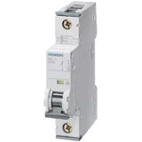 Siemens 5SY41027 5SY4102-7 zaštitna sklopka za vodove 2 A Cijene