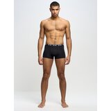 Big Star Man's Boxer Shorts Underwear 200033 906 cene