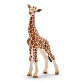  Zirafa mladunce | Eponuda.com