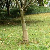  Rola jute 0,25x15 m 100 % juta 200 g/m² | shoptok.hr