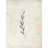 Venture Home poster Autumn Leaf 30 × 40 cm, bež | shoptok.hr