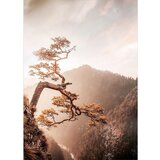 Styler Steklena slika 50x70 cm Brown Tree - Styler Cene
