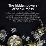 Aveda Sap Moss™ Weightless Hydrating Shampoo blagi hidratantni šampon anti-frizzy 200 ml | shoptok.hr