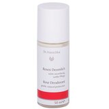 Dr. Hauschka rose nježni dezodorans s ekstraktom ruže 50 ml za žene | shoptok.hr
