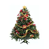 Božična drevesa (Novoletne jelke)