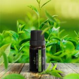 Anjou esencialen set olj 6 x 10ml | Shoptok.si