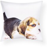 AVIZAR Komplet 2 prevlek za blazine 40x40 cm Oblikovanje psa beagle, Bela, (21747262) | Shoptok.si