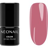 NeoNail XMAS Set Timeless Gift božićni poklon set za nokte | shoptok.hr