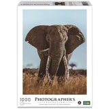 Ambassador African Elephant 1000 Pieces (Donal Boyd) Cijene