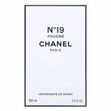 Chanel No. 19 Poudre parfumska voda 100 ml za ženske | Shoptok.si
