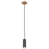Globo 57911HG - visilica na sajli robby 1xGU10/35W/230V siva/braon | Eponuda.com
