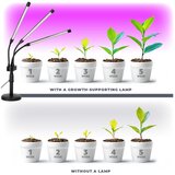  LED prigušiva stona lampa za gajenje biljaka VITARO 3xLED/10W/230V crna | Eponuda.com