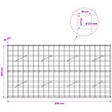  Gabion s žicom debljine 3,5 mm i mrežom 10x10 cm 200x10x100 cm | shoptok.hr