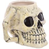 Skodelica lobanja | Shoptok.si