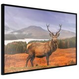  Poster - Majestic Deer 30x20 | shoptok.hr