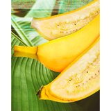 Garnier Fructis Hair Food Banana hranjiva maska za suhu kosu 390 ml | shoptok.hr