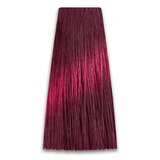 Prosalon Farba za kosu COLORART - Srednje crveno ljubičasta plava 7/24 100g Cijene