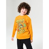 Sinsay Majica dugih rukava Teenage Mutant Ninja Turtles | shoptok.hr