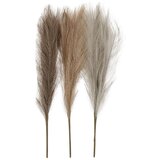 Veštačke biljke - Pampas trava dekorativna braon, siva, bež