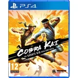Kai The Karate Kid Saga Continues (PS4)