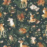 Lilipinso Dječja tapeta 10 m x 50 cm Forest Friends – | shoptok.hr