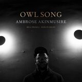 Warner AKINMUSIRE A.- LP/OWL SONG, (20997030) | Shoptok.si