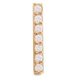 Daniel Wellington dw00400870 micro crystal line earring | Eponuda.com