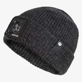 The panther beanie