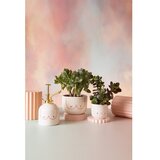 Sass & Belle Keramičen okrasni cvetlični lonec ø 8 cm Girl Power – | Shoptok.si