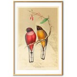  Plakat - Birds on a Branch 40x60 Zlatni okvir s margom | shoptok.hr