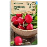 Samen Maier BIO redkvica Sora | Shoptok.si