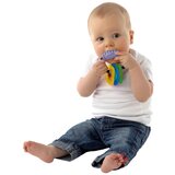Playgro Glodalica sa teksturom ( 1046324 ) | Eponuda.com