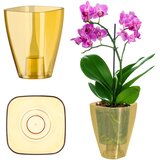 KADAX Pokrov za cvetlični lonček za orhideje, plastični cvetlični lonček, med, močan, 13 cm, (5000346129) | Shoptok.si