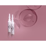 Collistar Rigenera Smoothing Anti-Wrinkle Concentrate intenzivna nega proti gubam 2x10 ml | Shoptok.si