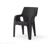 Tiger stolica bb