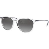 Ray-ban Erika RB4171 651611 - ONE SIZE (54) Cijene