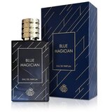 Fragrance World Blue Magician 100 ml parfumska voda za moške Cene