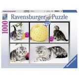 Ravensburger puzzle - znatiželjni mačići- 1000 delova | ePonuda.com