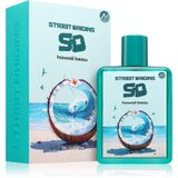 Street Origins Hawaii Beau parfumska voda za moške 75 ml | Shoptok.si