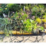  Dekoracija za vrt STALAK ZA 5 TEGLI 126x23x65.5cm | shoptok.hr