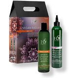 HS MILANO vegan radiance color care set protective shampoo 350 ml + lamellar bond leave-in treatment 350 ml Cijene