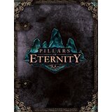 Steam pillars of eternity (champion edition) key global | Eponuda.com