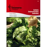 Semenarna Ljubljana Solata "Dalmatinska ledenka" - 5 g | Shoptok.si