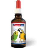 GladiatorPLUS Ptica - 100 ml Cene