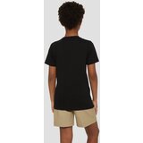Dickies Mapleton T-shirt knit black | Shoptok.si