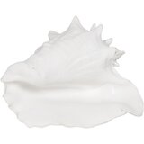 Ixia Kipec iz poliresina (višina 13 cm) Seashell – | Shoptok.si