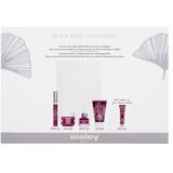 Sisley Black Rose Collection Set maska za obraz Black Rose Cream Mask 60 ml + olje za obraz Black Rose Precious Face Oil 25 ml + krema za obraz Black Rose Skin Infusion Cream 50 ml + gel za okoli oči Black Rose Eye Contour Fluid 14 ml + emulzija za telo Black Rose Beautifying Emulsion 15 ml + kozmetična torbica za ženske Cene